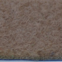 Világos barna szőnyeg bérlés